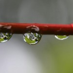 synonyms for raindrop at the online kid thesaurus