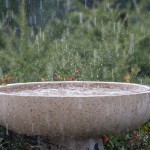 synonyms for rainfall at the online kid thesaurus