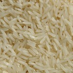 synonyms for rice at the online kid thesaurus