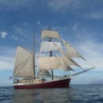 A tall sailing ship with white sails catches wind on calm blue ocean water under a partly cloudy sky