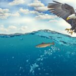 A bald eagle with spread wings flies above clear blue water where a fish swims underwater, with white clouds in the sky